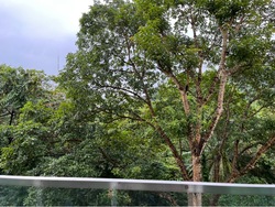 The Raintree (D21), Condominium #491917821